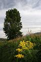 L'Adda - paesaggi e atmosfere 048